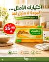 صفحة 42