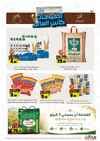 صفحة 2