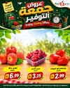 صفحة 9